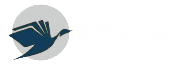 H2MGlobals Logo